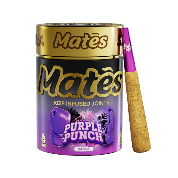 Purple Punch Prerolls – Premium THC-A Infused Pre-Rolled Joints with Berry and Grape Terpene Profile